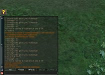 Chat.jpg