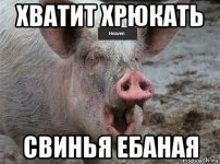 ХЕВЕН ПРЕКРАТИ.jpg