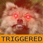 wolf_triggered_150.jpg
