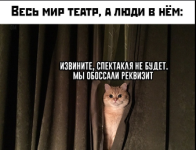 1735119999761.png