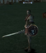 shield.png
