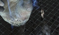 Screenshot_10.jpg