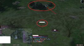 zoom.jpg