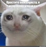 1738875306724.jpeg