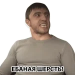 1739364310452.webp