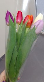 IMG_20250214_165054~3.jpg
