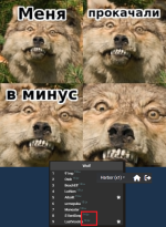 1739898886821.png