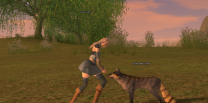 Screenshot_22.png