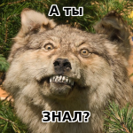 1740053200054.png