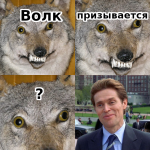 1740053234216.png