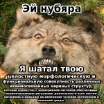 1740053492603.png