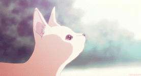 b6c6efa932fe650649518bd4926f71dc.gif