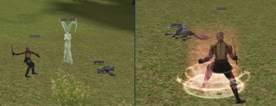 wolf.jpg