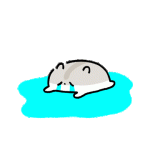 33b29c3715afe970818e43335ca56035.gif