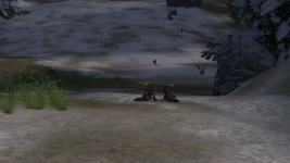 Shot00002.png