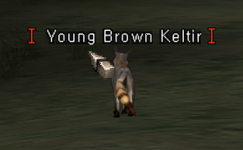1740480173891.png