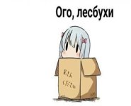 m9SXisvp8ko3333.jpg