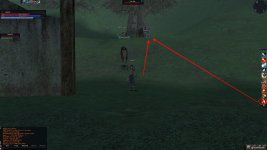 wolf1.jpg