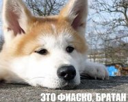 fiasko.jpg