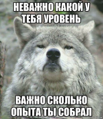 1741071482587.png