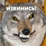 1741073800732.jpeg