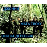 8.webp