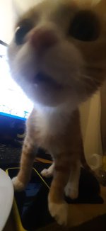 422a0709-cfa1-4086-a056-7ca93a3713a8.jpeg