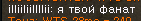 harbor25.png