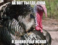 f779a620a5d5373abe4d358e93bff8e9.jpg