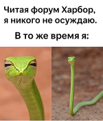 ChatGPT Image 28 апр. 2025 г., 15_06_31.png