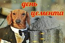 images.jpg