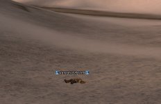 bot.jpg