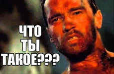 1747236848244.png