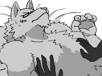 Bk0m.gif