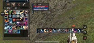 1748371956656.jpeg
