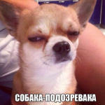 1694243333768.png