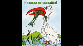 1700805395196.png