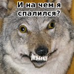 1748841010878.png