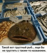1000044925.jpg