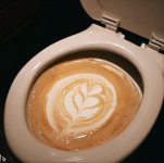 IMG_8691.jpeg