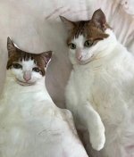 TL5gYU_d1iN8nWlQklDmgAxRjGo2eIrCYf1i8UeIzchkWQjNGAzg5NJZyxKBYAdR2vRwPs4S5M72Gdp84AVShuDS.jpg TL5gYU_d1iN8nWlQklDmgAxRjGo2eIrCYf1i8UeIzchkWQjNGAzg5NJZyxKBYAdR2vRwPs4S5M72Gdp84AVShuDS.jpg