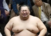 sumo-02-1591087495033554214689.jpg