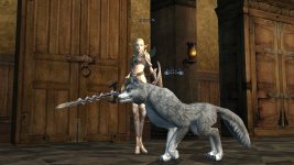 Shot00382.jpg Shot00382.jpg