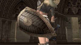 чайн шилд исх+.jpg