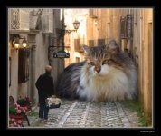 1000013900.jpg 1000013900.jpg