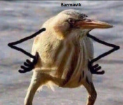 1774515339214.png 1774515339214.png