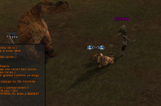 dvs.png