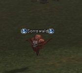 sor.jpg