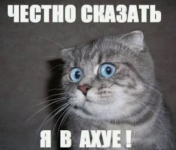 1782895825242.png 1782895825242.png