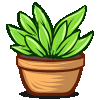 potted-plants.gif potted-plants.gif